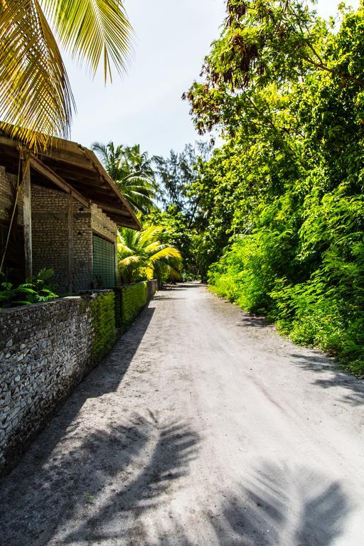 Villa Rosa Maldives Feridhoo Exteriér fotografie