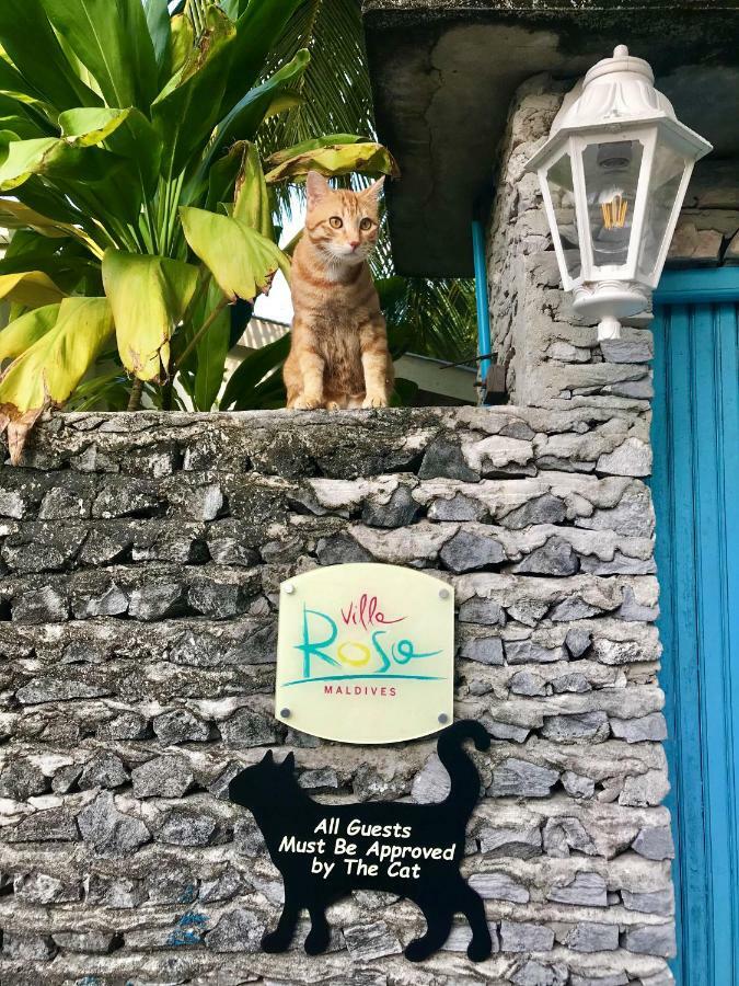 Villa Rosa Maldives Feridhoo Exteriér fotografie